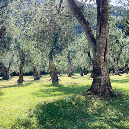 Hotell Garni Orchidea 3*
