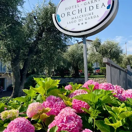 ホテル Garni Orchidea