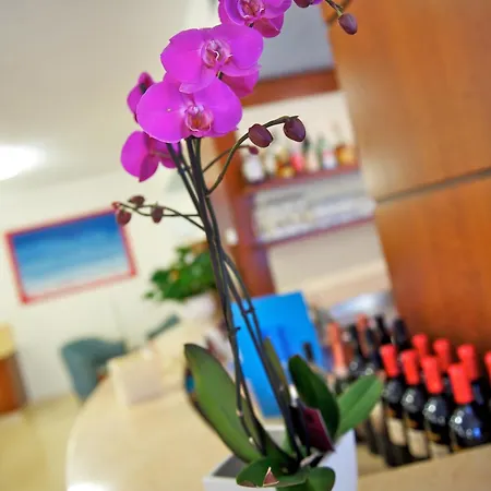 ホテル Garni Orchidea マルチェージネ