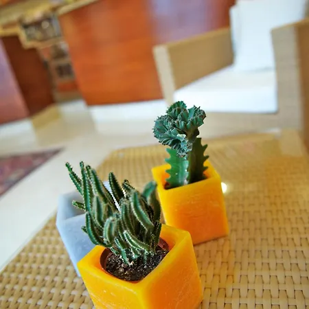 Hotel Garni Orchidea