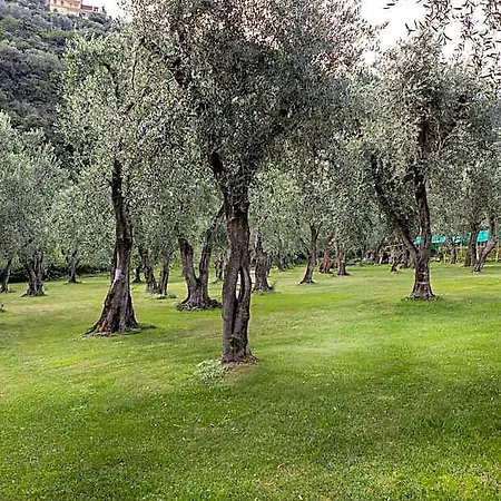 Hotel Garni Orchidea 3*