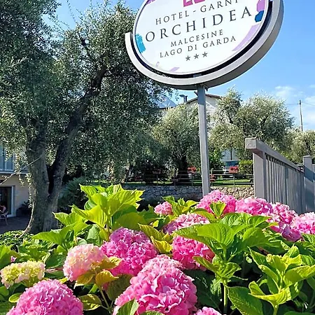 Hotel Garnì Orchidea Malcesine