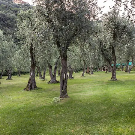 Garni Orchidea Hotel Malcesine