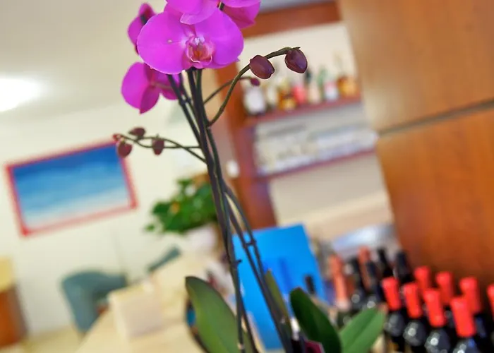 Hotel Garni Orchidea Malcesine