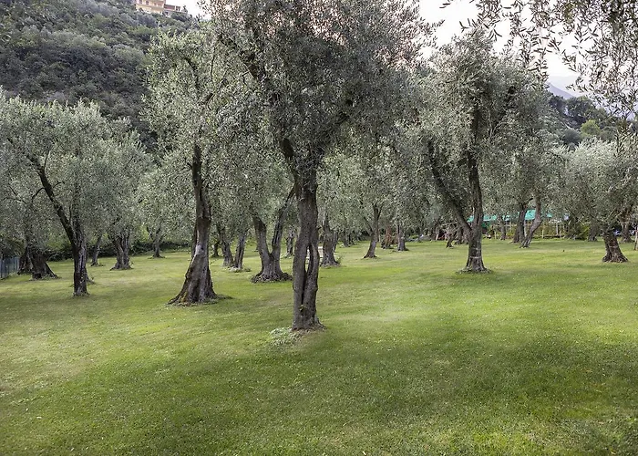 Garni Orchidea Malcesine