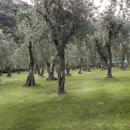 Garni Orchidea Malcesine