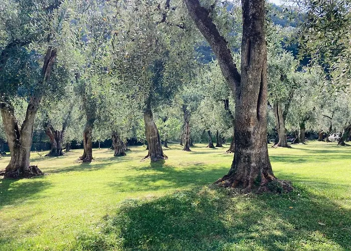 Hotel Garnì Orchidea 3*