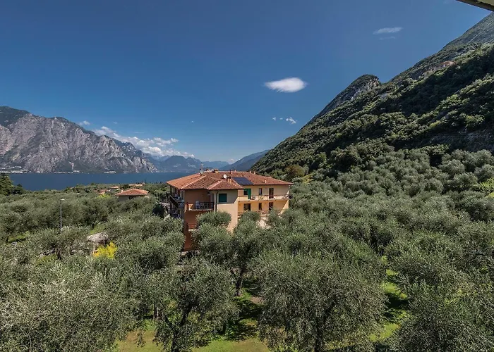 Hotel Garnì Orchidea 3*